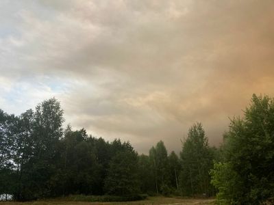 Возле села Деулино под Рязанью загорелся лес